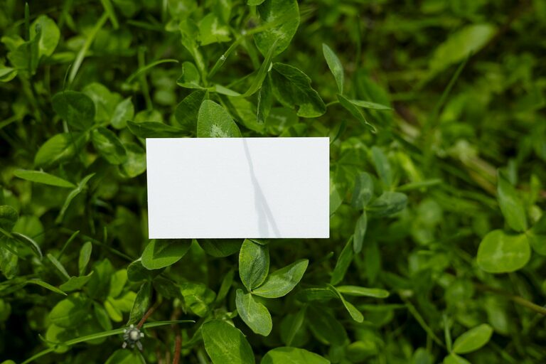 Kako brzo pripremiti prostor za goste: saveti za ugodan boravak